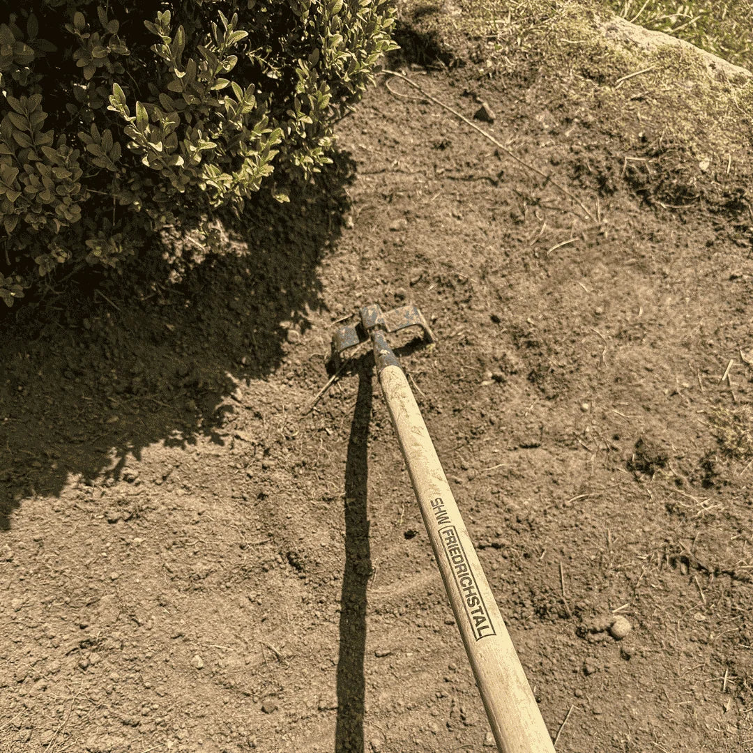 German Oscillating Stirrup Hoe - 5.5" with 63" wood Handle
